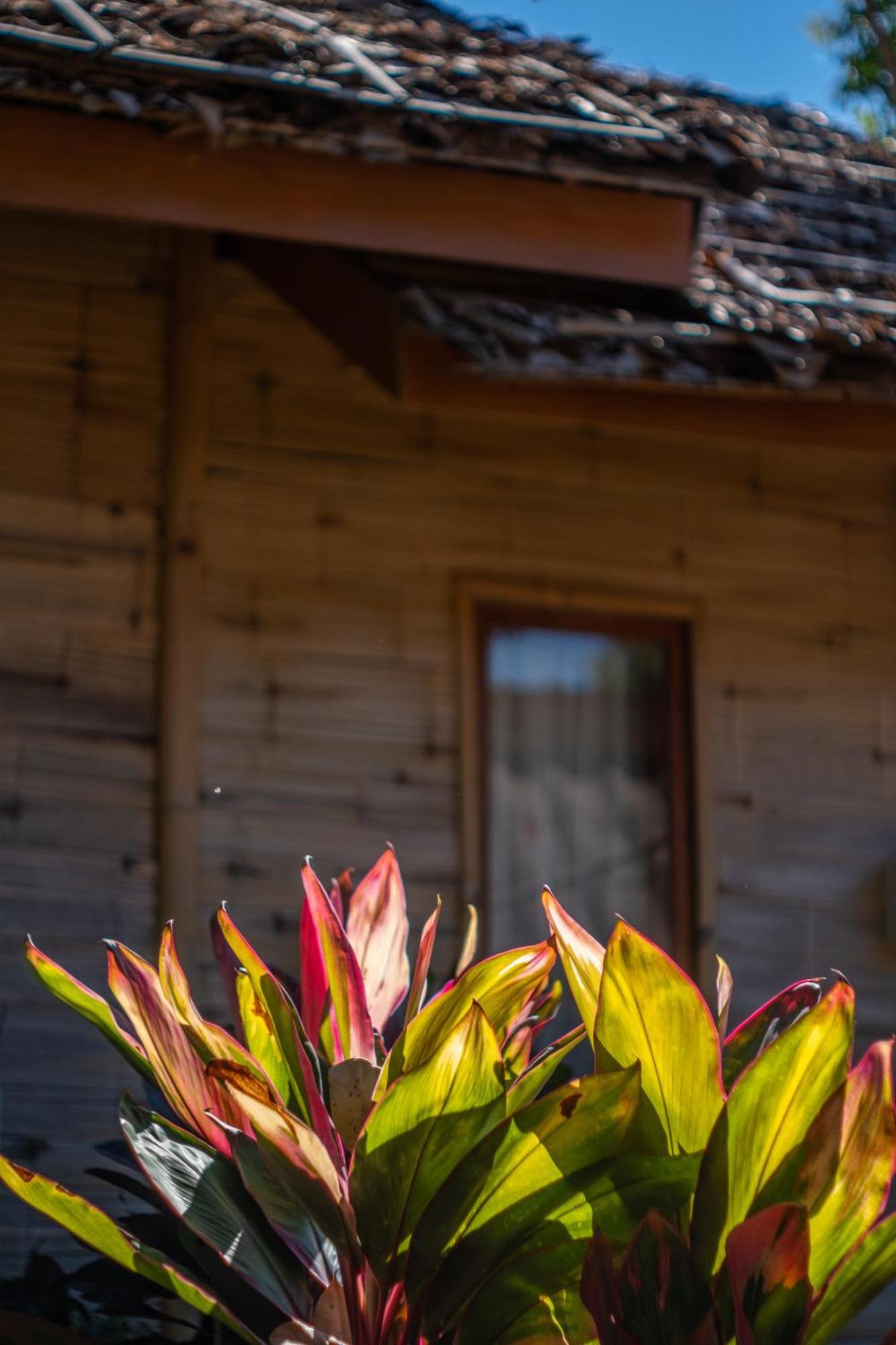 The Nest House Hotel Пай Екстериор снимка