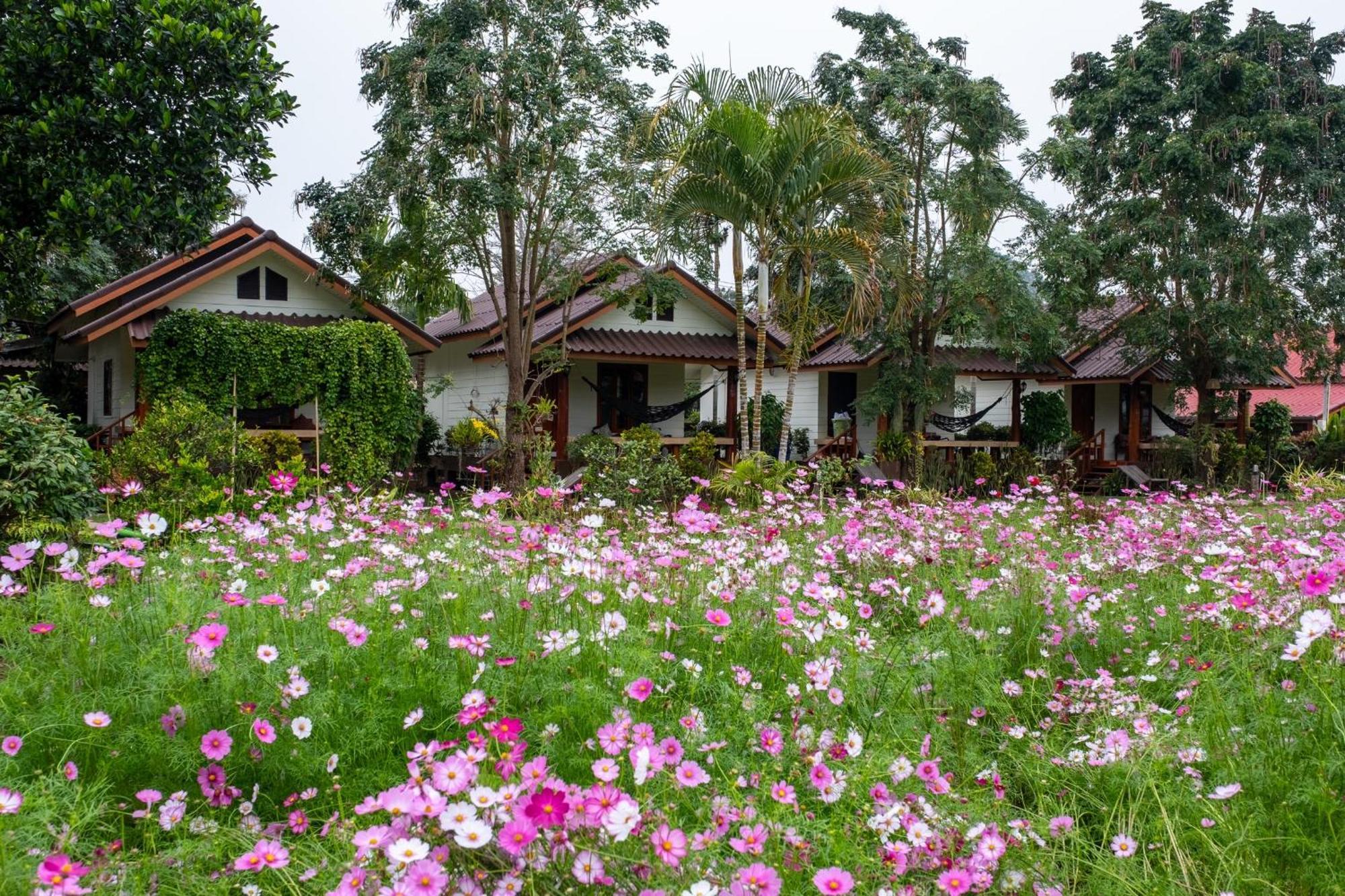 The Nest House Hotel Пай Екстериор снимка
