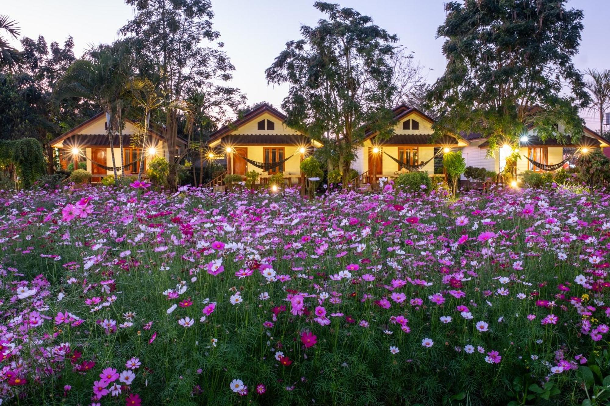 The Nest House Hotel Пай Екстериор снимка