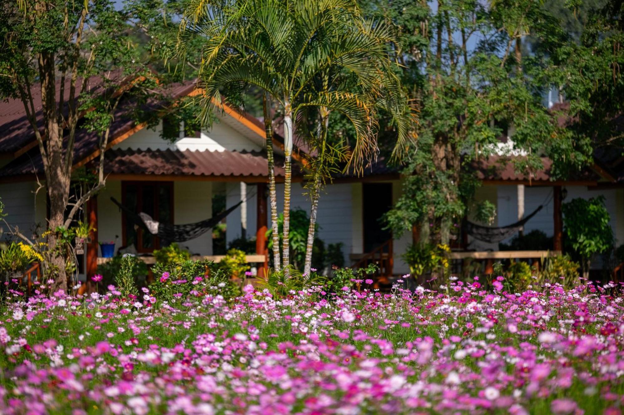The Nest House Hotel Пай Екстериор снимка