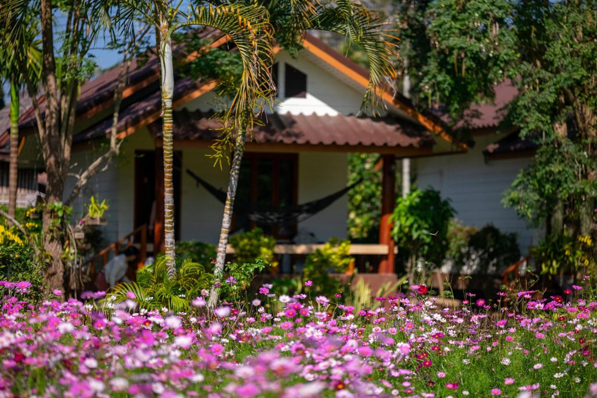 The Nest House Hotel Пай Екстериор снимка